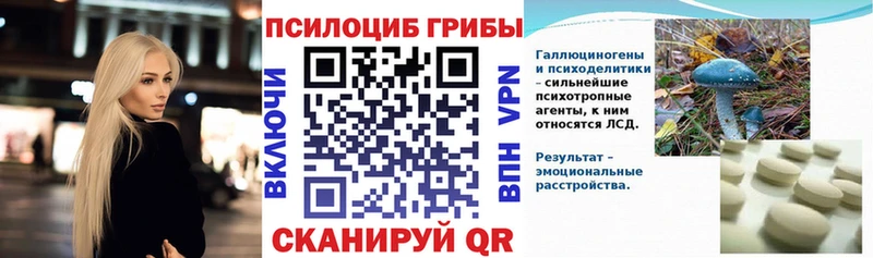 Галлюциногенные грибы Magic Shrooms  сколько стоит  нарко площадка наркотические препараты  Находка 