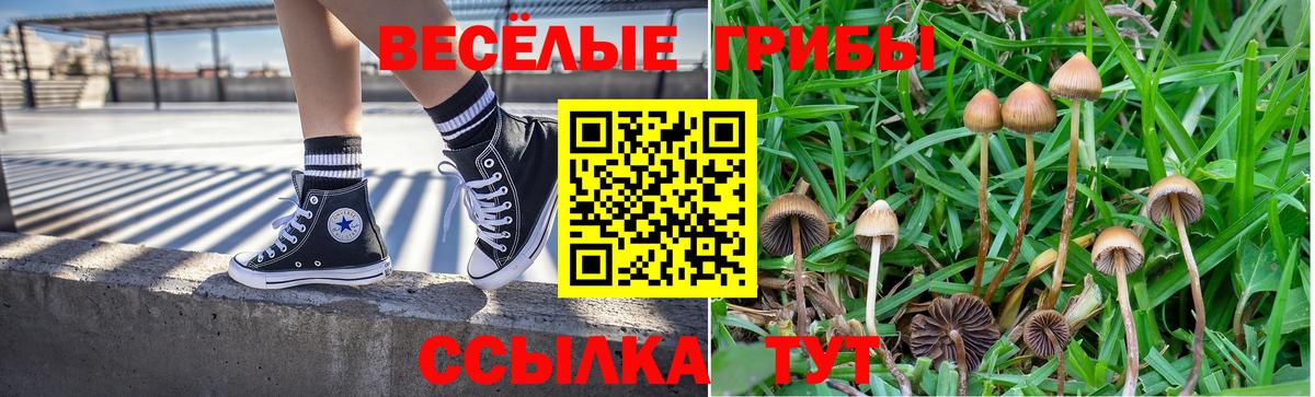 Псилоцибиновые грибы Psilocybe  Псилоцибиновые грибы мухоморы  Находка  Вход с VPN 